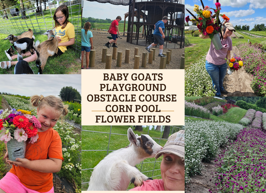 Baby Goat Cuddling / Flower Fields Day Pass
