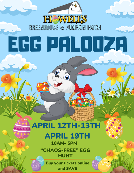 Egg Palooza