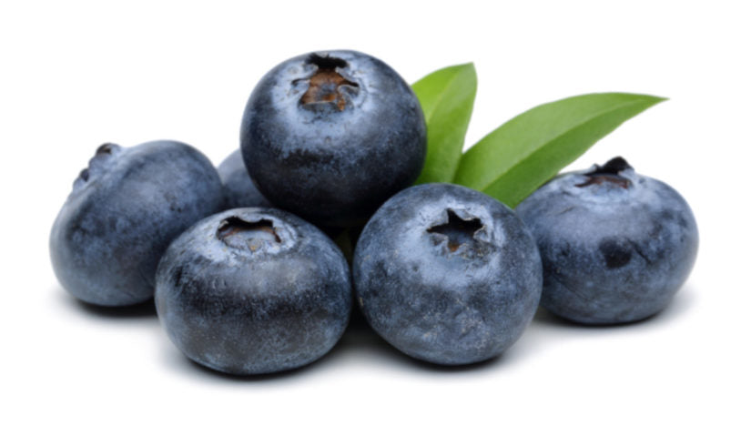 Blueberry Pint- Local Pick Up Only